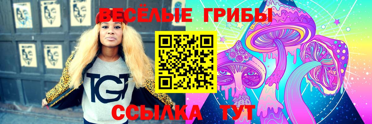 Артём  как найти закладки  Вход с VPN  Галлюциногенные грибы Magic Shrooms  Галлюциногенные грибы Magic Shrooms 